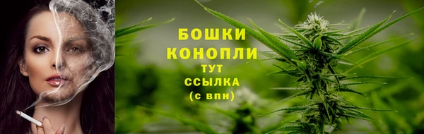 молекула духа Нея
