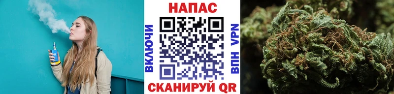 Каннабис Amnesia Новоаннинский